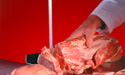 bone in blades meat cutting